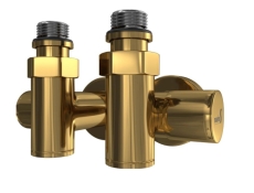 4.0.0500.55.GB Кран кутовий під ТЕН золото сатин