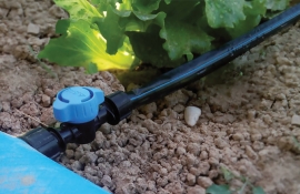 Системи крапельного зрошування