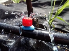 Капельницы и форсунки